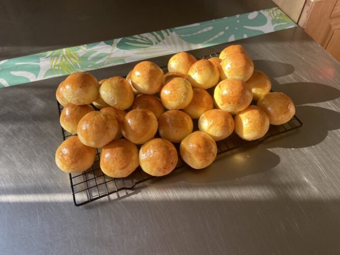 panini bocconcini
