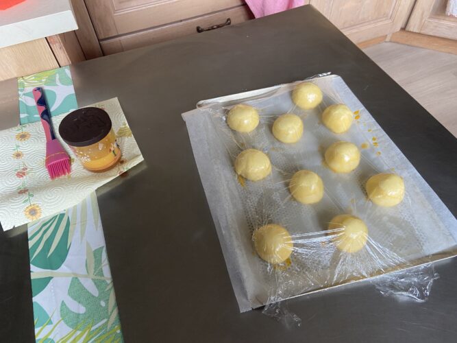panini bocconcini