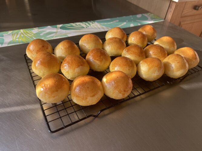 panini bocconcini