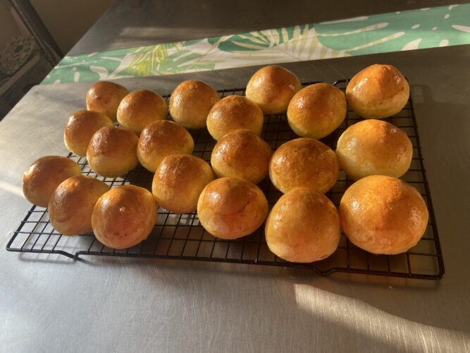 panini bocconcini