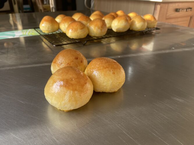 panini bocconcini