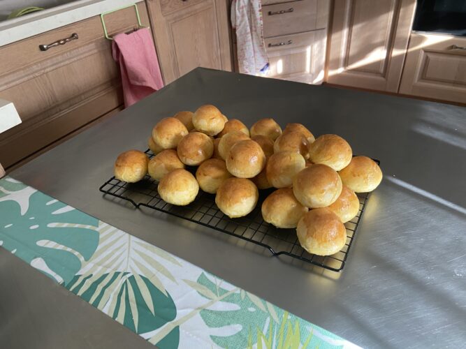 panini bocconcini