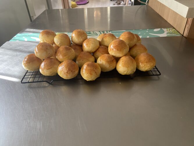 panini bocconcini