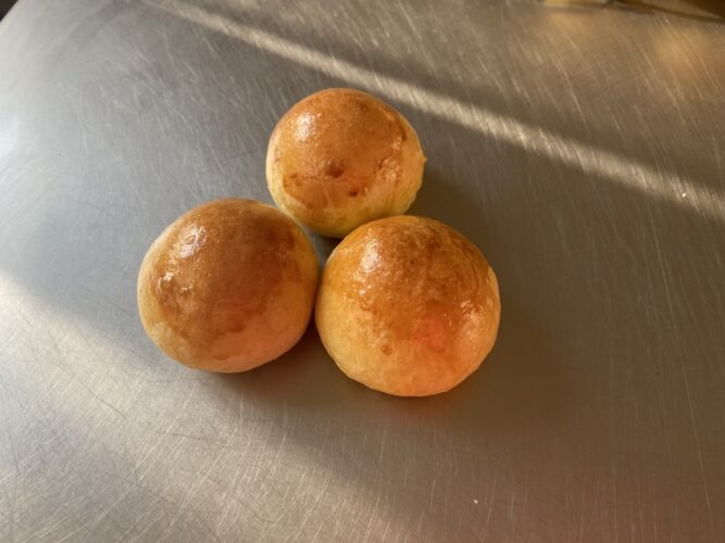 panini bocconcini