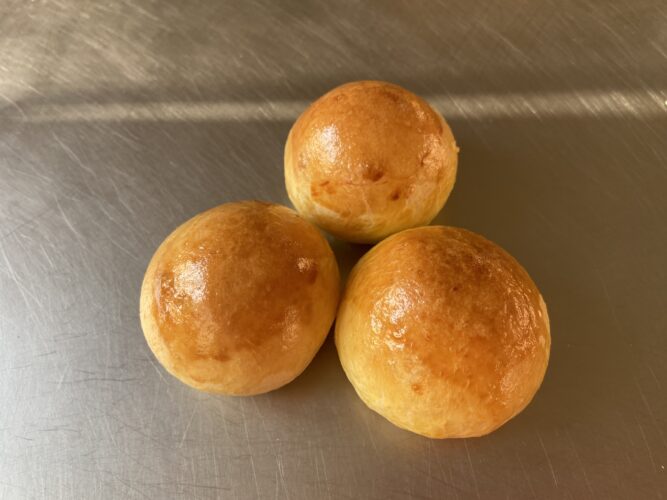 panini bocconcini