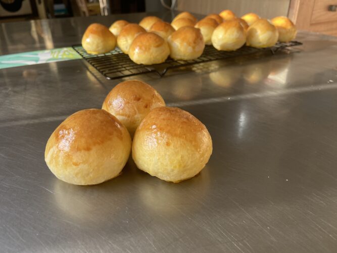 panini bocconcini