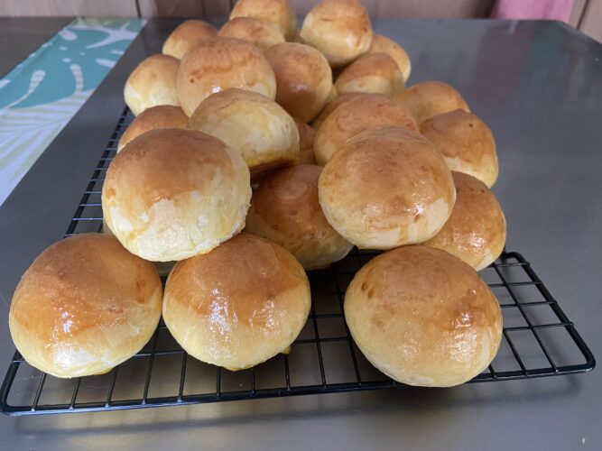 panini bocconcini