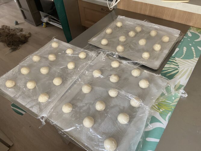 pizzette forneria fast