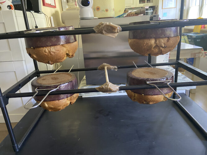 panettone cannella