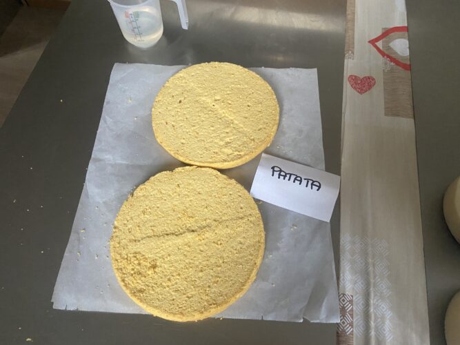 torta classica vegana