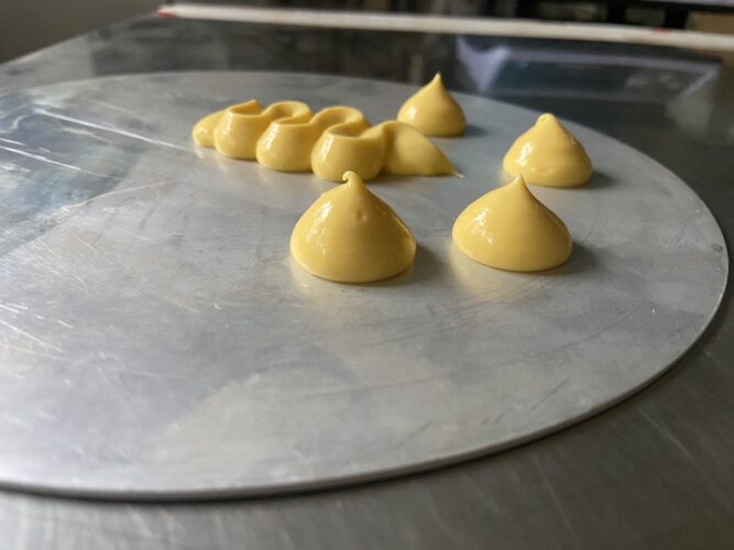 dressaggio 2