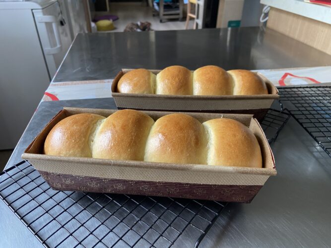 panbrioche salato pallotto
