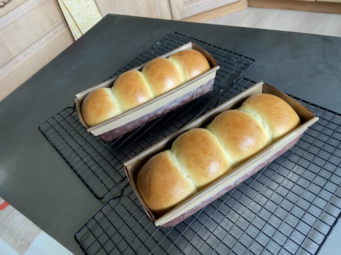 panbrioche salato pallotto