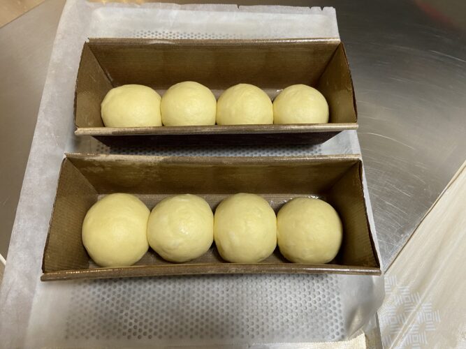 panbrioche salato pallotto