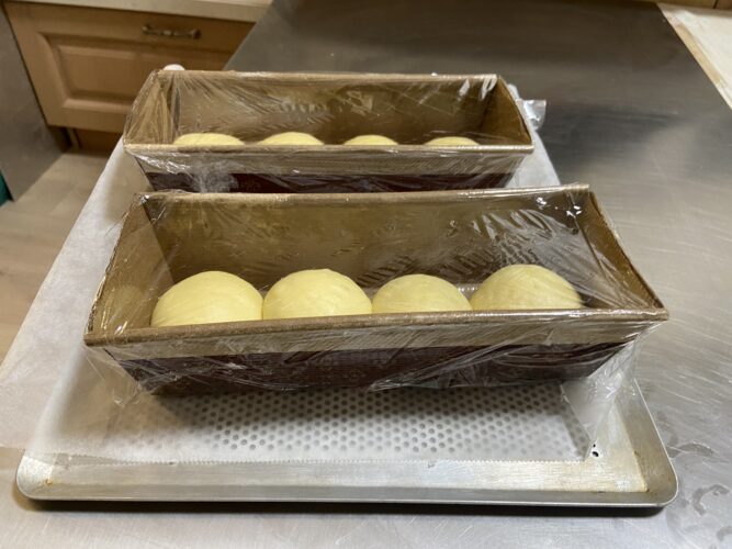 panbrioche salato pallotto