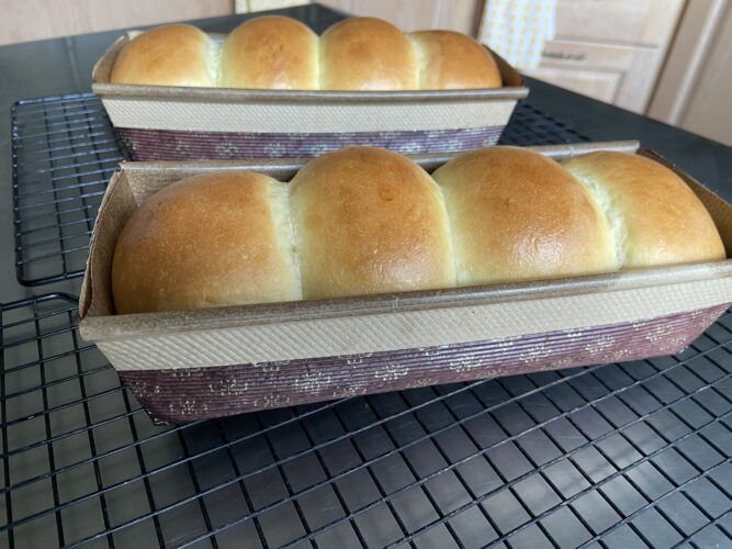 panbrioche salato pallotto