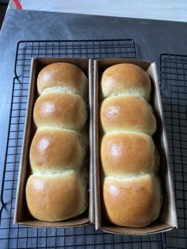 panbrioche salato pallotto