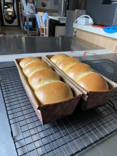 panbrioche salato pallotto