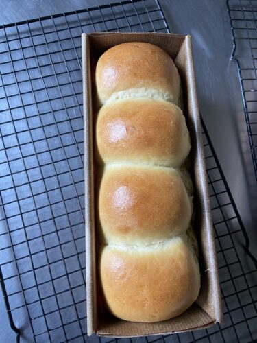 panbrioche salato pallotto