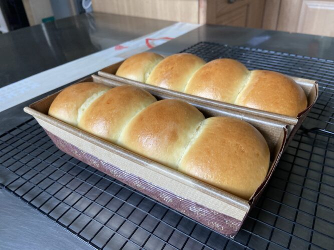 panbrioche salato pallotto