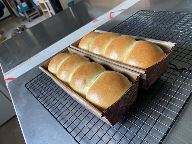 panbrioche salato pallotto
