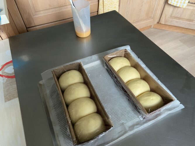 panbrioche salato pallotto