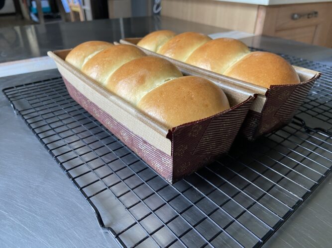 panbrioche salato pallotto