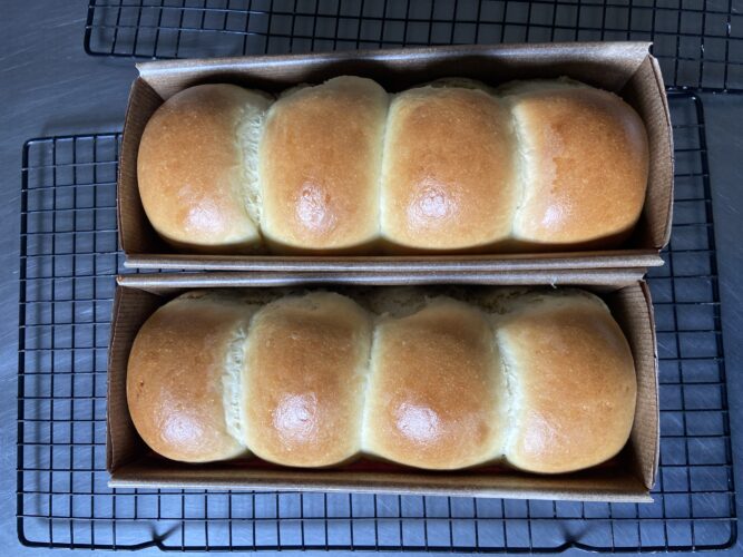 panbrioche salato pallotto