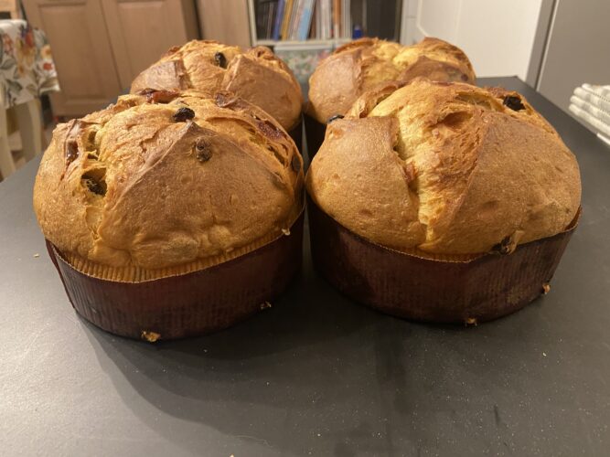 panettone cannella
