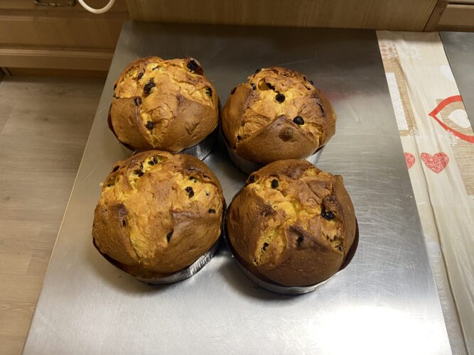 panettone confronto tuorli intero