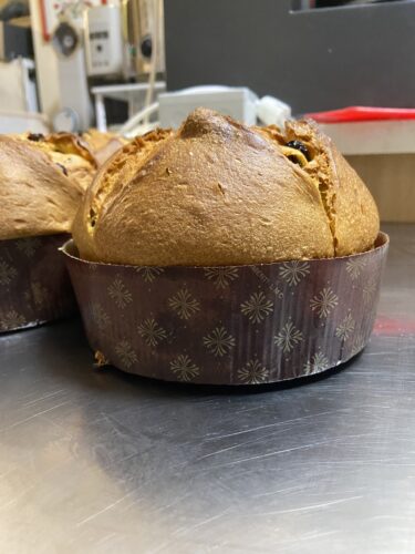 panettone confronto tuorli intero