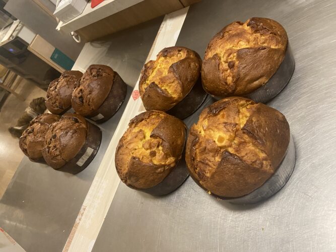 panettone semola cioccolato