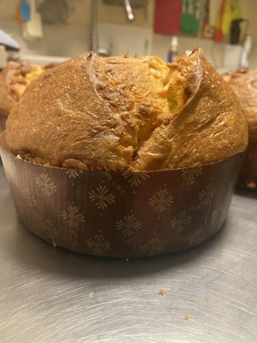 panettone semola cioccolato