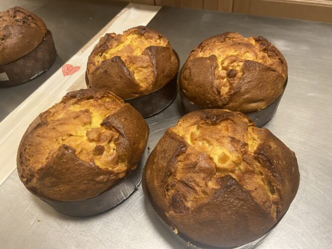 panettone semola cioccolato