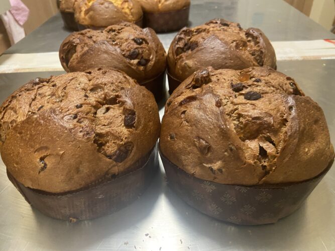 panettone semola cioccolato