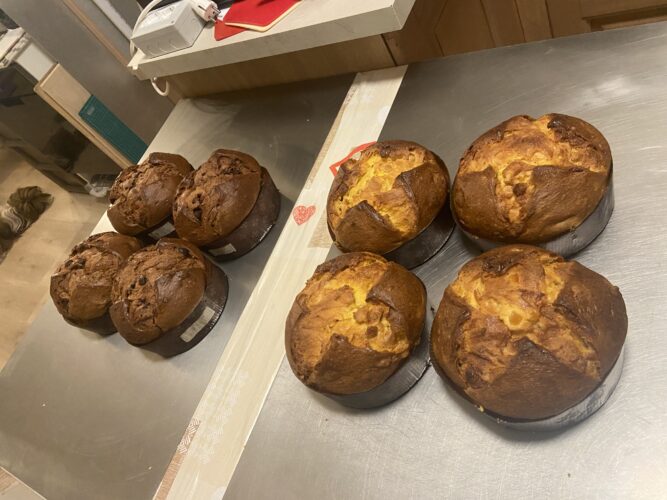 panettone semola cioccolato