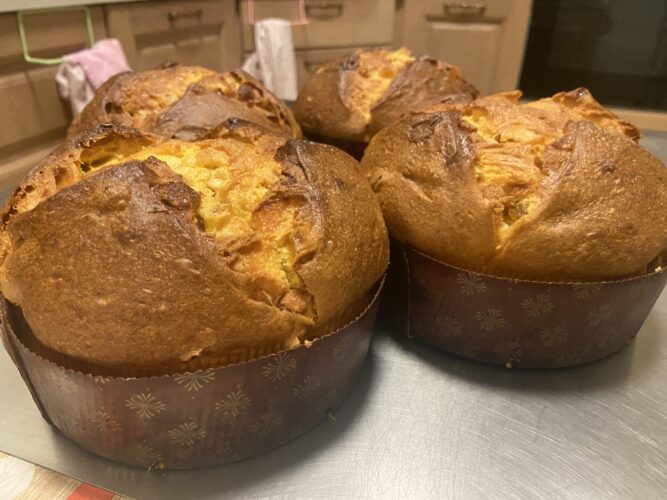 panettone semola cioccolato