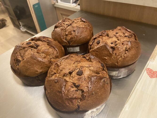 panettone semola cioccolato