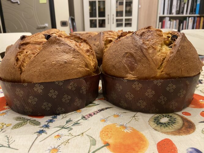 panettone test classico mela