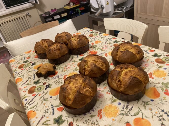 panettone test classico mela
