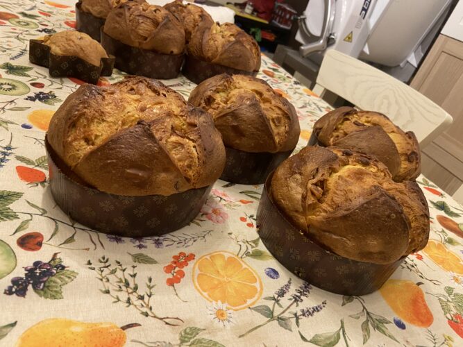 panettone test classico mela