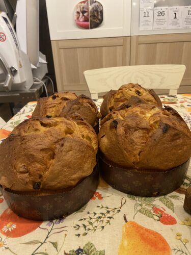 panettone test classico mela