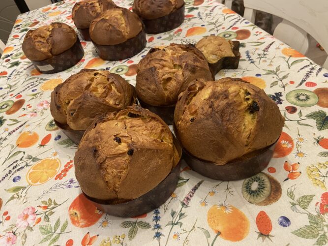 panettone test classico mela