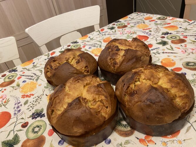 panettone test classico mela