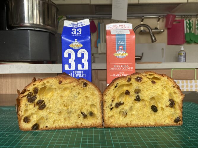 panettone tuorlo confronto diretto
