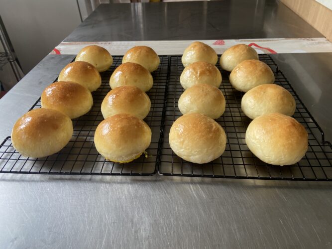 panini piuma
