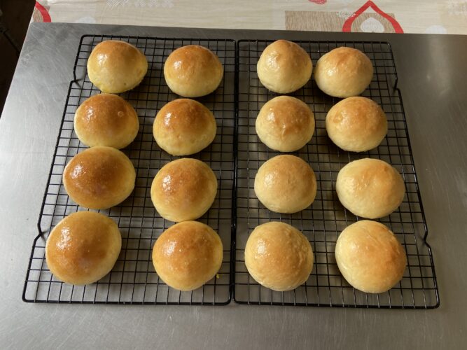 panini piuma