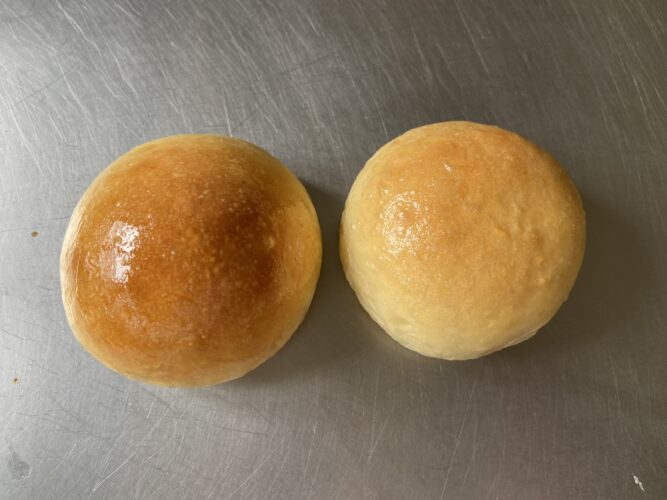 panini piuma