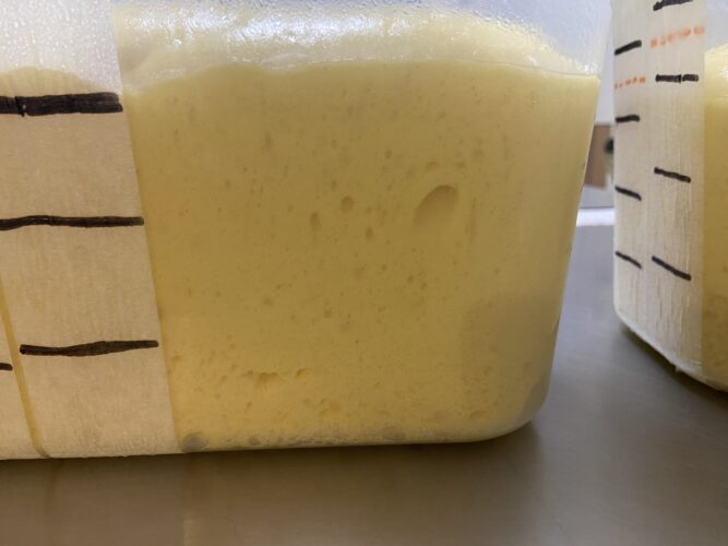 primo impasto al mattino