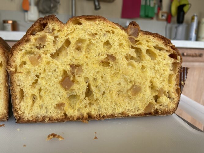 sezione panettone semola cioccolato